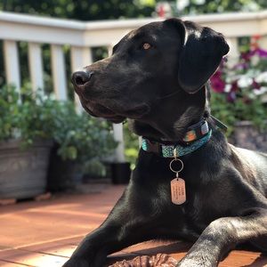 Meet your Posher, Maya